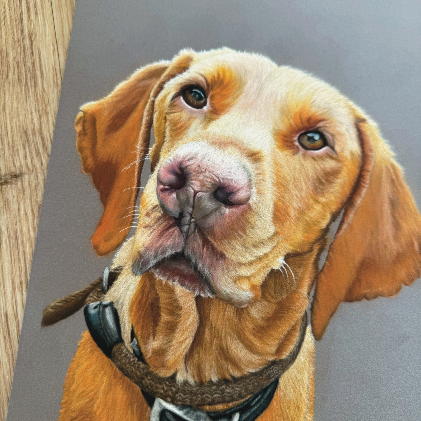 realistic custom pet portrait hand drawn in pastel pencil - personalised dog artwork from photo