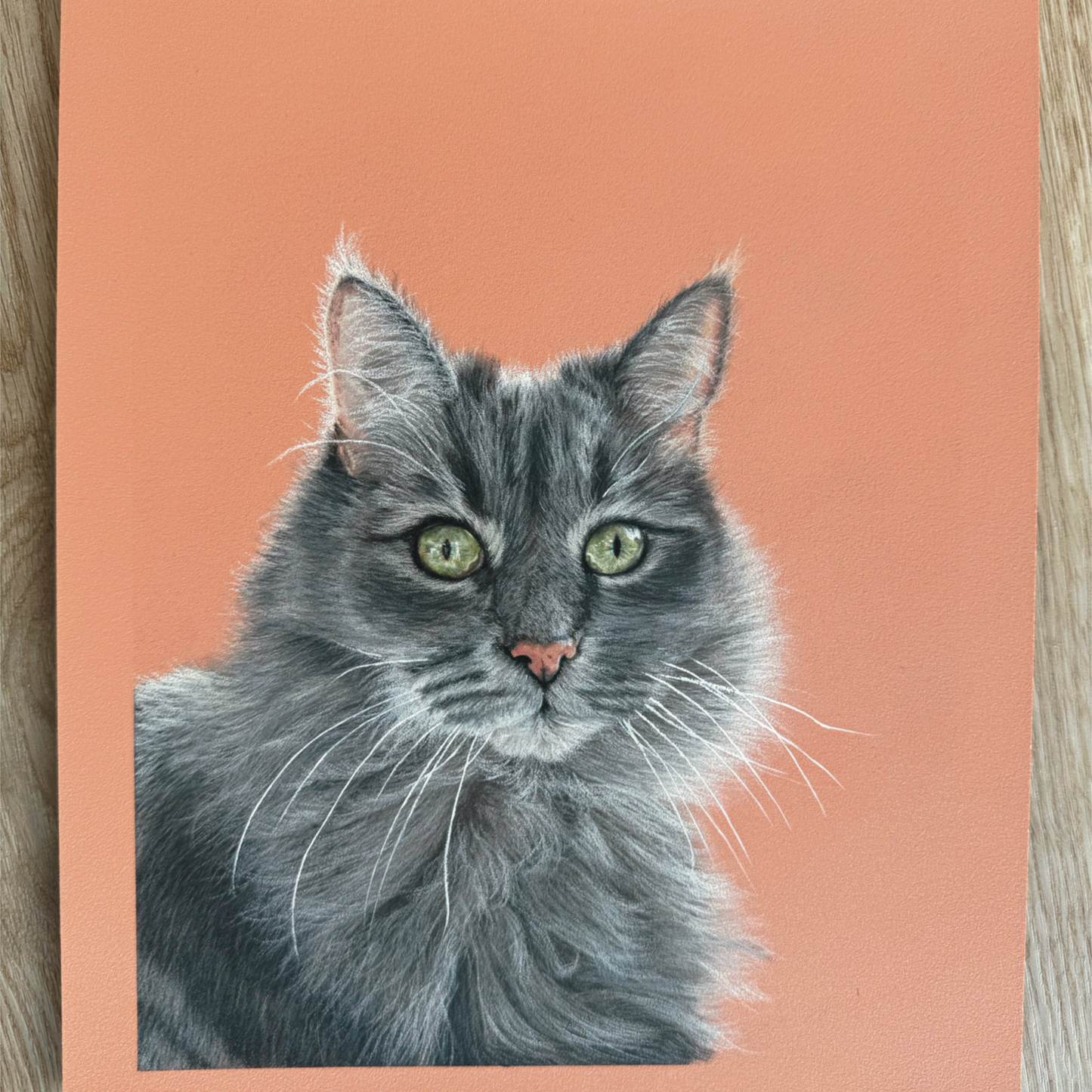 realistic custom pet portrait hand drawn in pastel - personalised cat artwork from photo