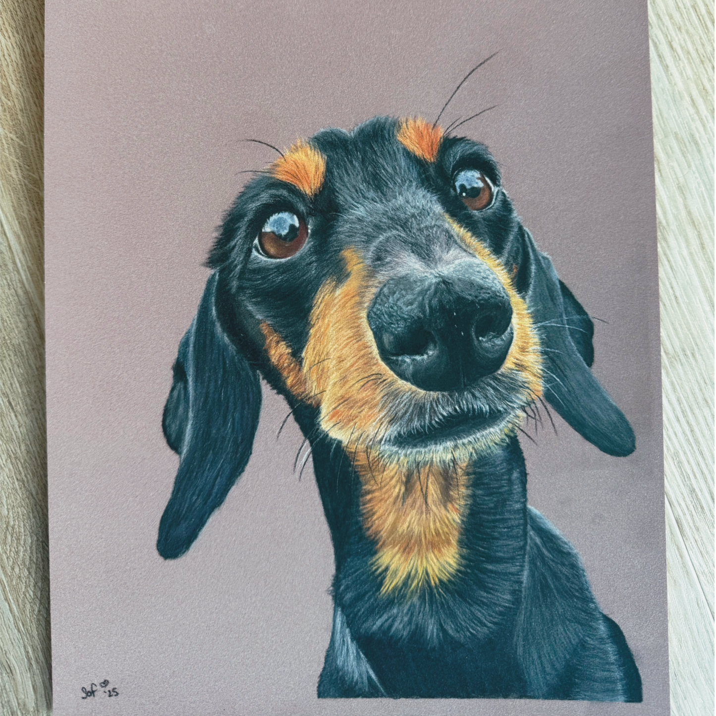 realistic custom pet portrait hand drawn in coloured pencil - personalised dog artwork from photo
