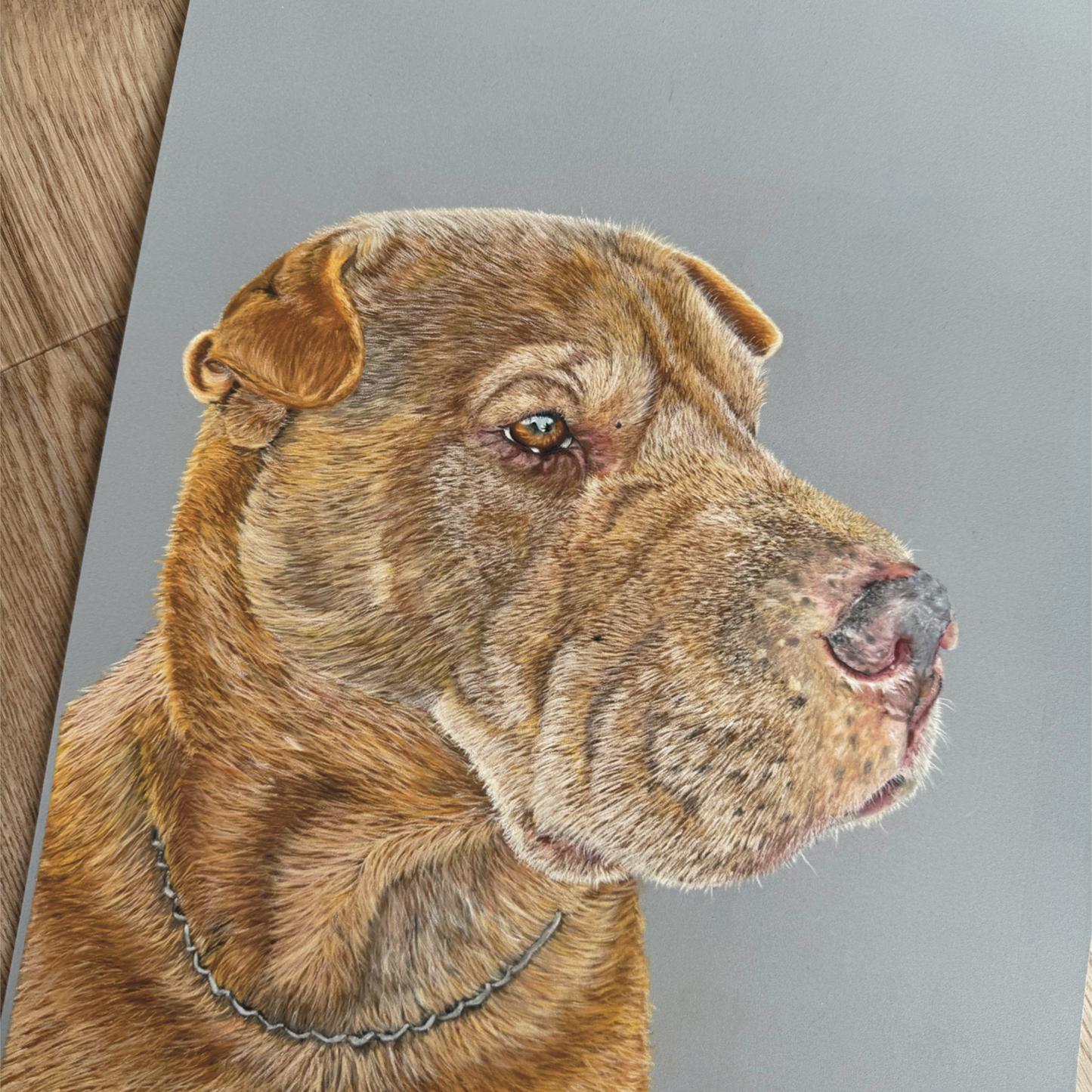 realistic custom pet portrait hand drawn in pastel - dog artwork from photo