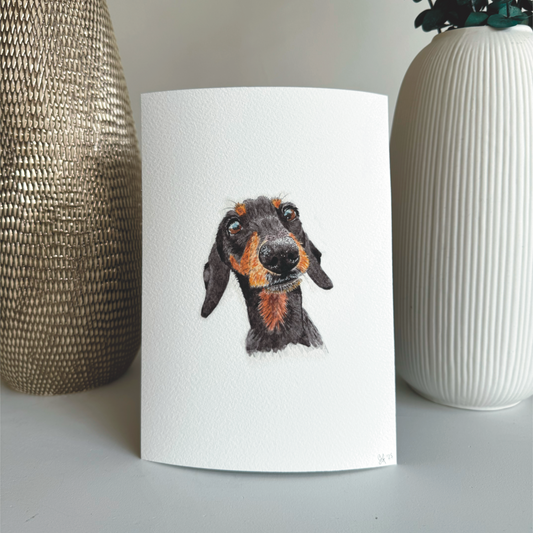 sausage dog illustration art print dachshund
