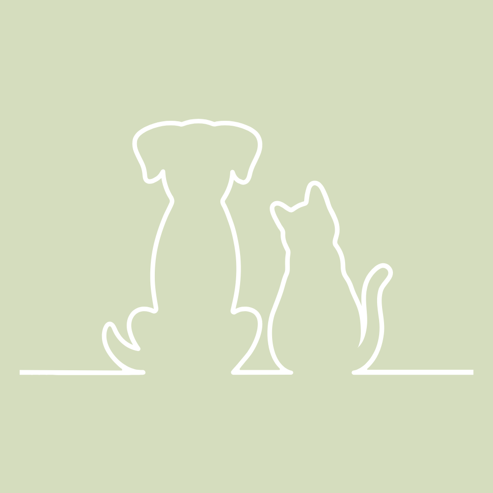 Pets & Animals Fine Art Prints